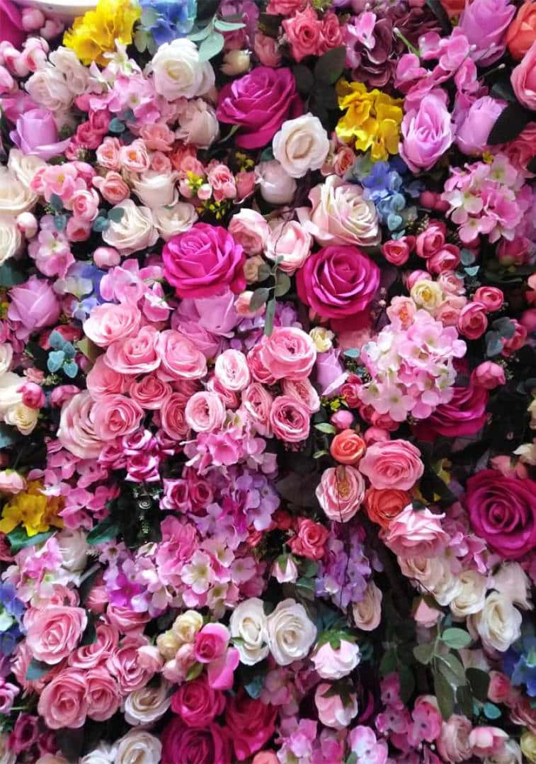 pink, white, yellow, SD Phone Wallpaper