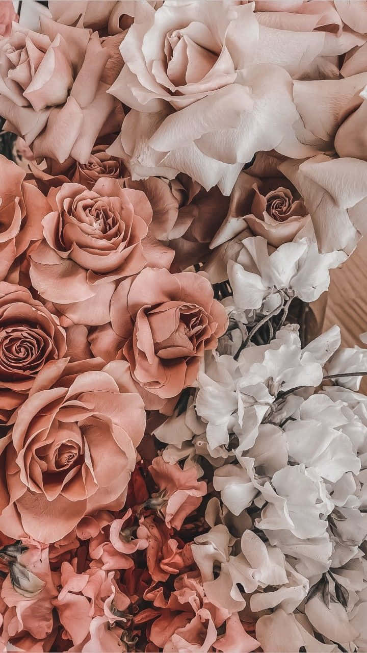 pink roses, white roses, hydrangeas, HD Phone Wallpaper