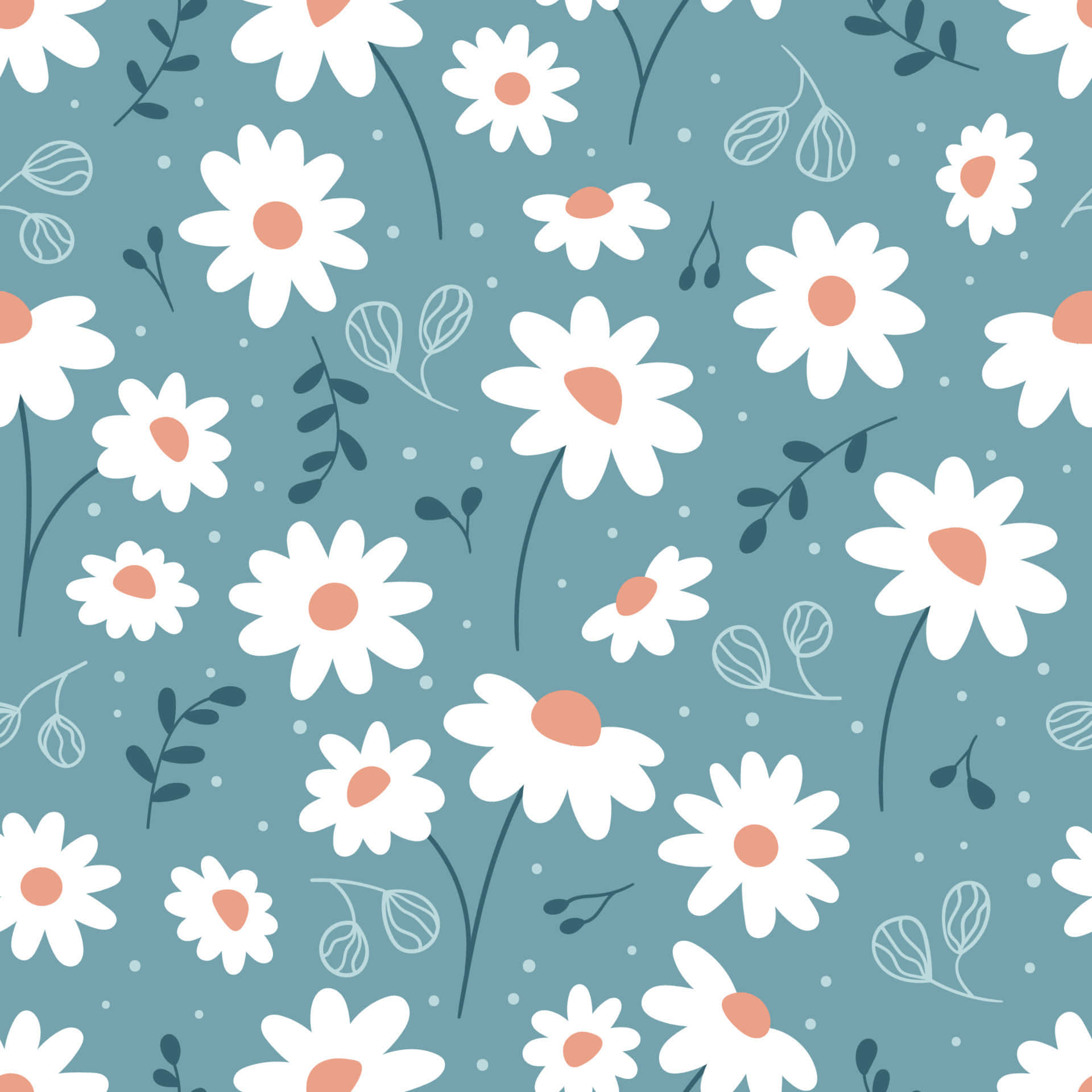 white daisies, peach centers, teal background, Full HD Desktop Wallpaper