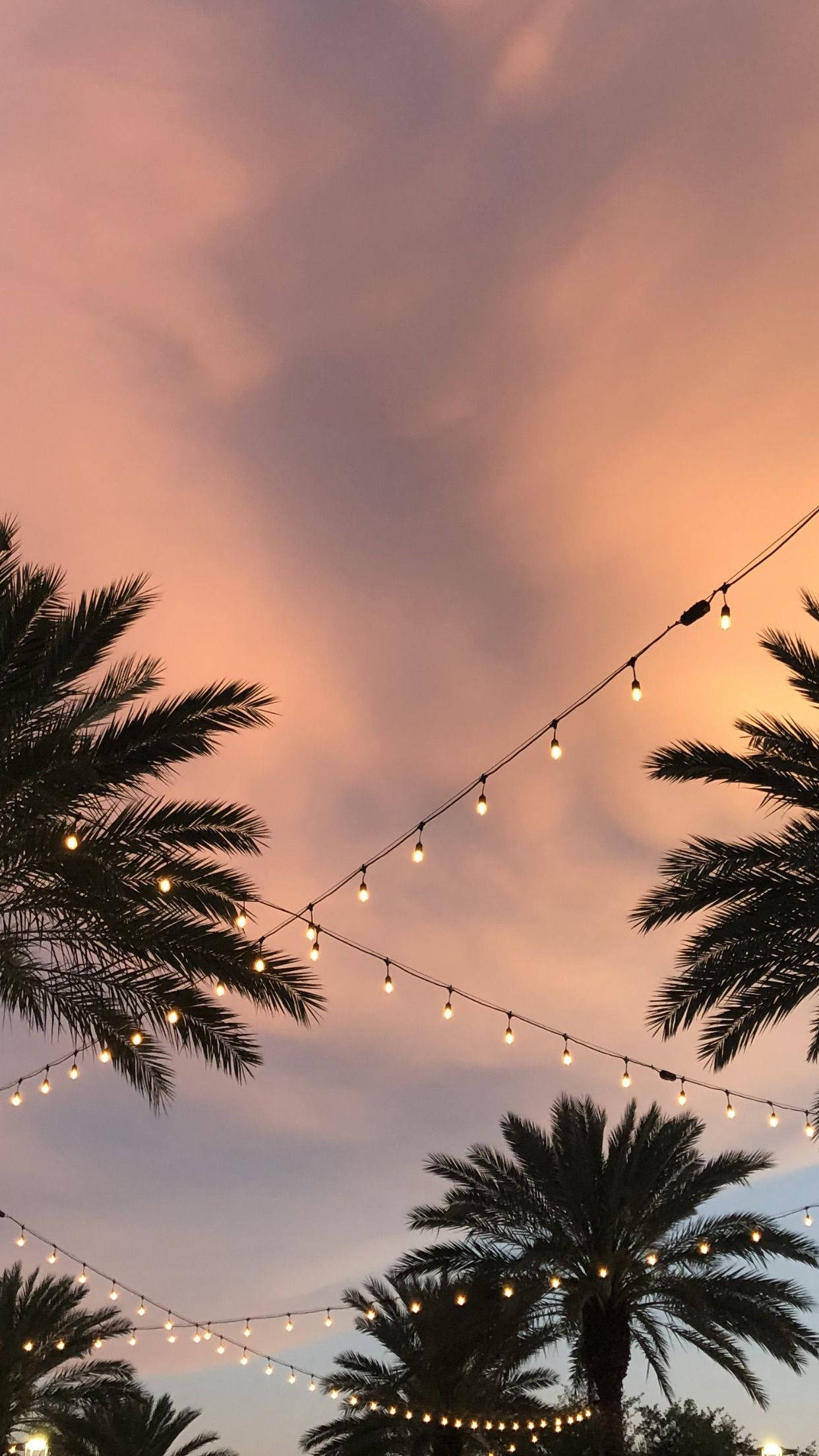 string lights, soft pink and orange twilight sky, silhouetted palm fronds, Full HD Phone Wallpaper