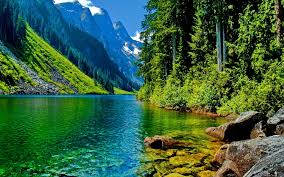vibrant turquoise lake, snow-capped mountains, lush green forests, SD Desktop Wallpaper