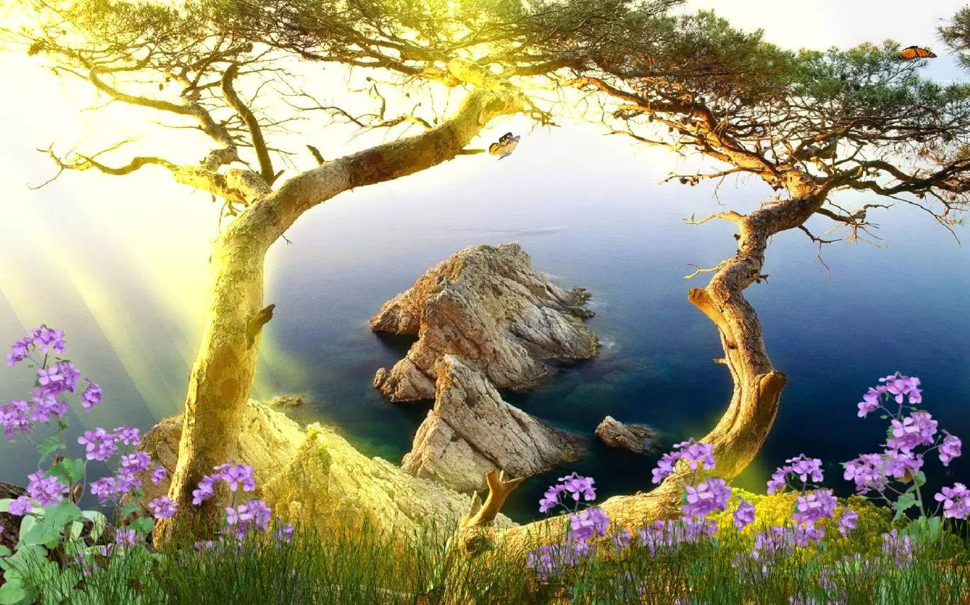 gnarled tree, rocky coastal scene, golden sunrise, HD Desktop Wallpaper