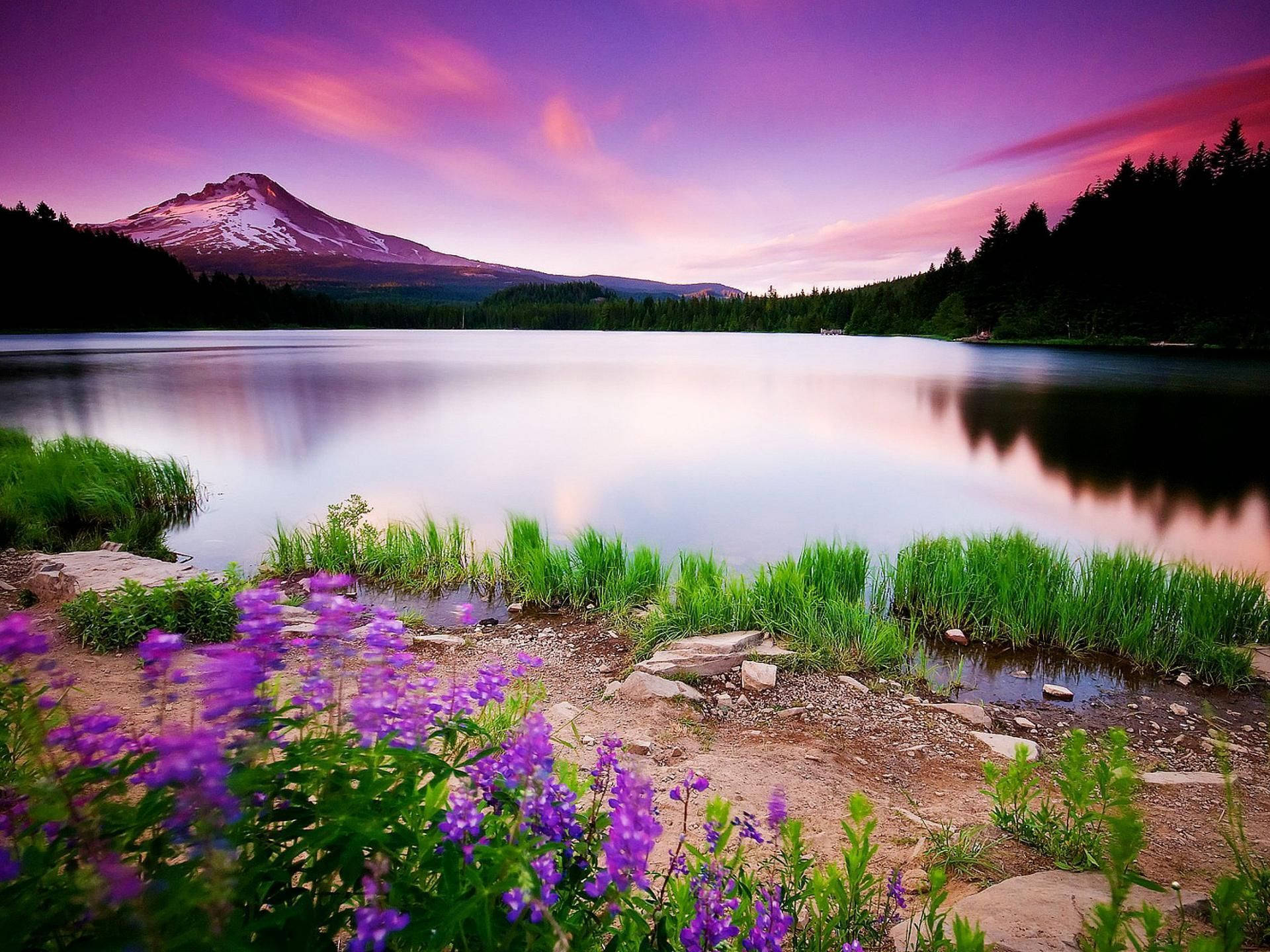 serene lake, snow-capped mountain, vibrant purple sunset sky, Full HD Desktop Wallpaper