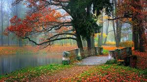 autumn lake, vibrant red and orange trees, wooden bridge, SD Desktop Wallpaper