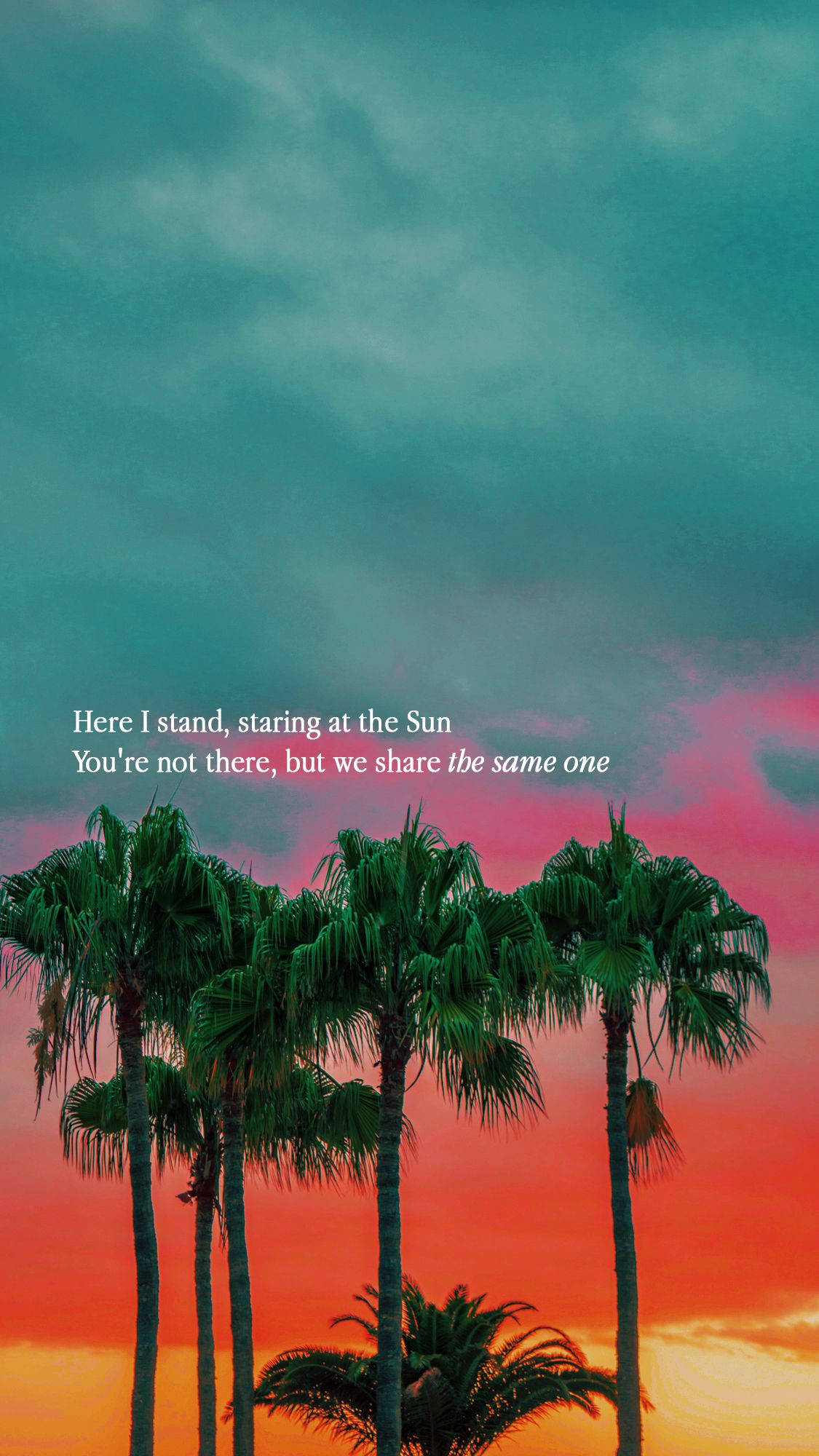 palm trees, vibrant sunset sky, teal pink, Full HD Phone Wallpaper