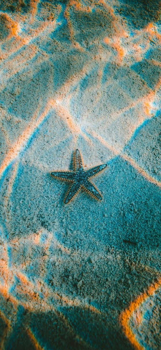 Pretty Ocean, blue starfish, textured sand, SD Phone Wallpaper