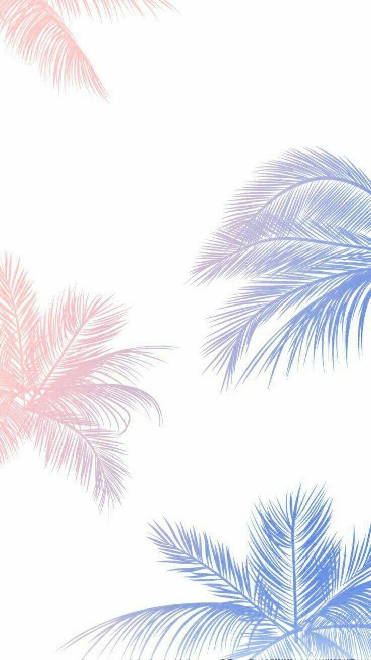 palm trees, pastel pink, pastel blue, HD Phone Wallpaper