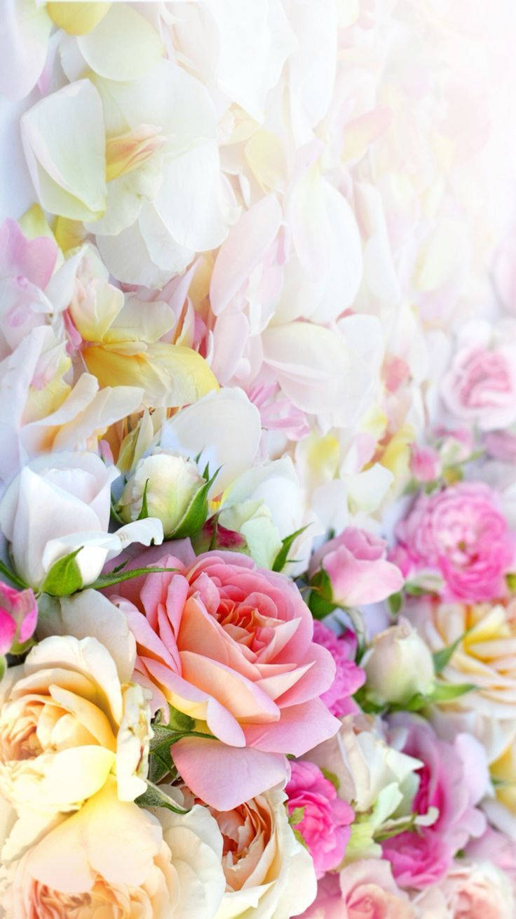 Pretty Phone, pastel pink, peach, HD Phone Wallpaper