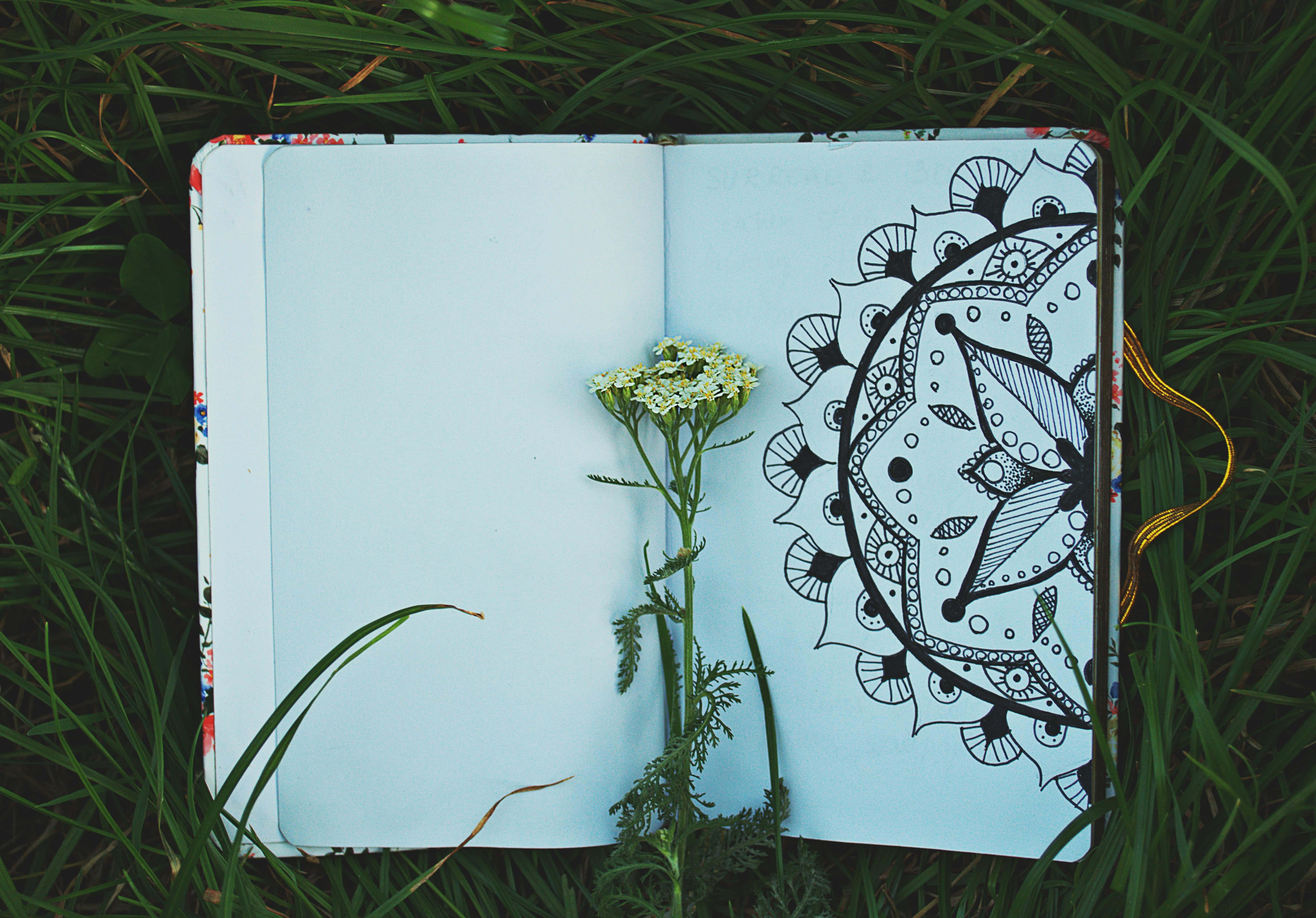 black mandala drawing, white flower, vibrant green grass, 5K Desktop Wallpaper