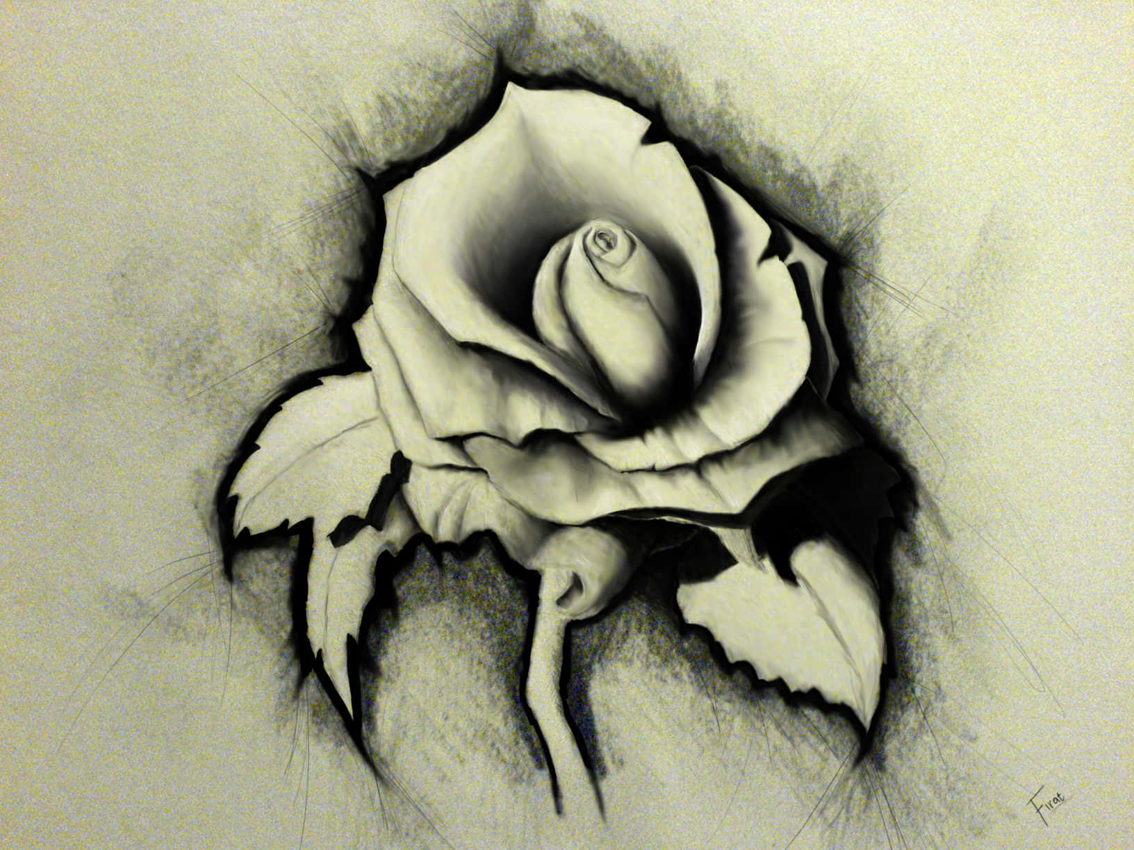 elegant rose sketch, monochrome charcoal drawing, detailed rose, HD Desktop Wallpaper