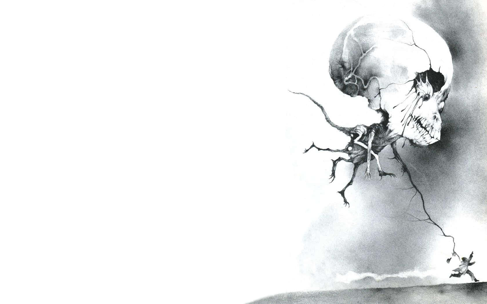 skulland tree illusion, cracked skull, roots, HD Desktop Wallpaper