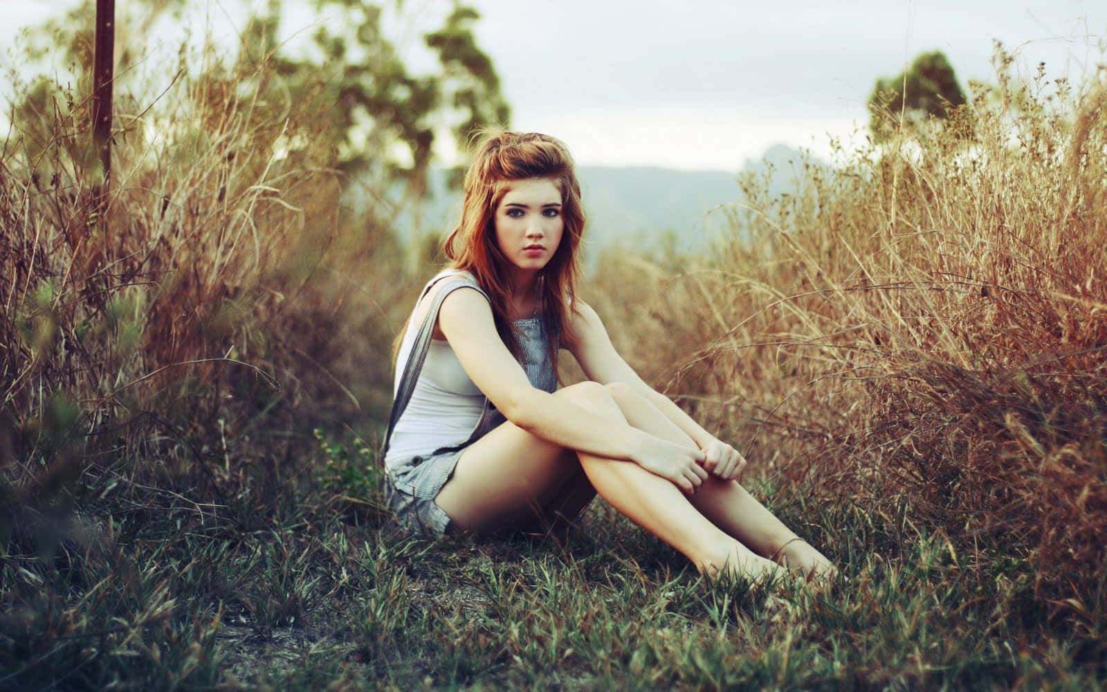 red hair, tall golden grass, barefoot, HD Desktop Wallpaper