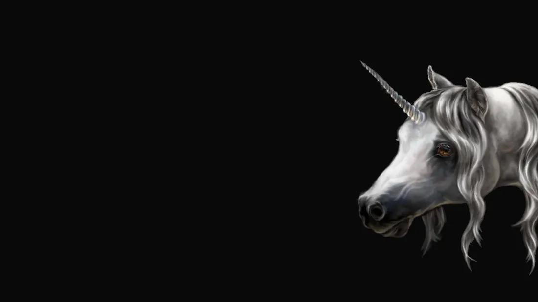 Pretty Unicorn