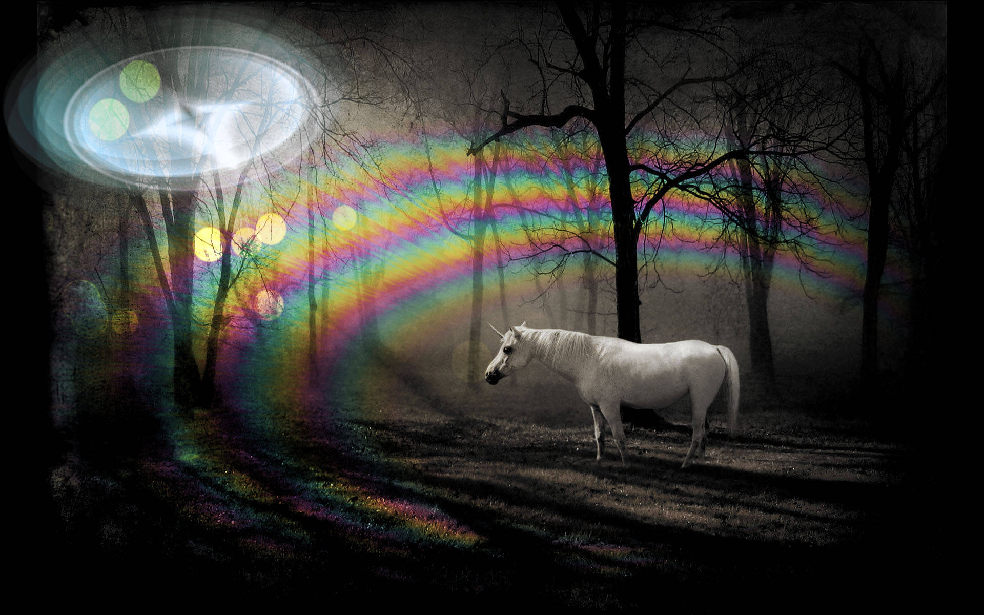 white unicorn, dark forest, vibrant rainbow, Full HD Desktop Wallpaper