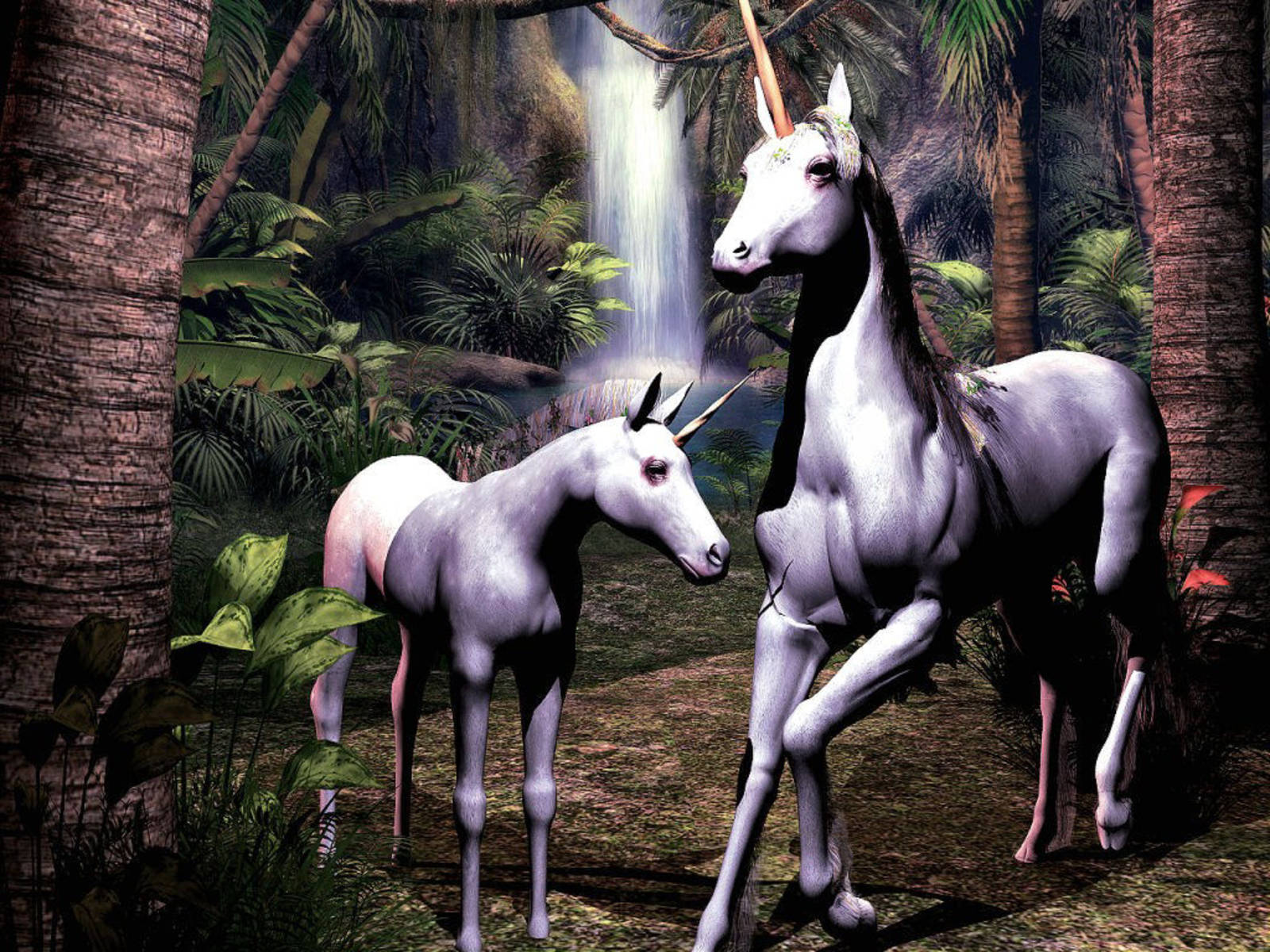 Pretty Unicorn, unicorns, jungle, HD Desktop Wallpaper
