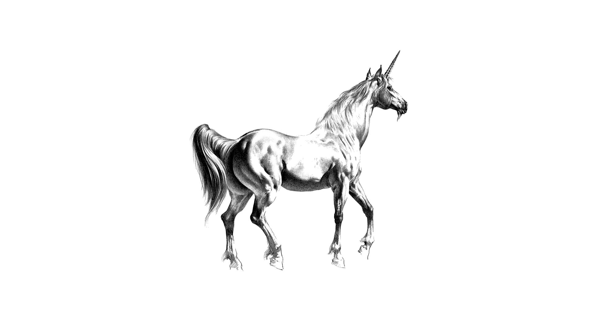 pretty unicorn, pencil drawing, black and white, Full HD Desktop Wallpaper