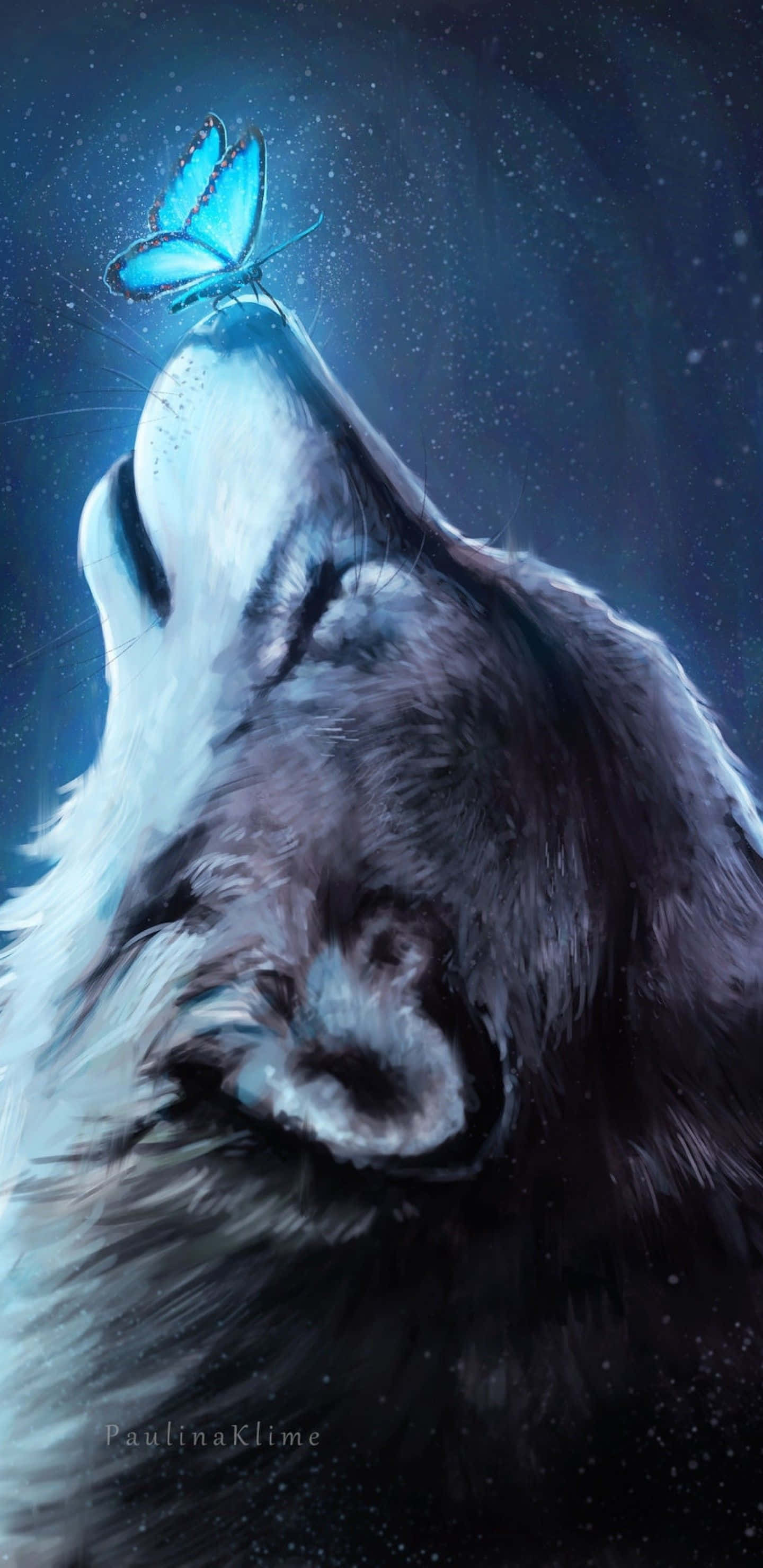 pretty wolf, glowing blue butterfly, starry night sky, 2K Phone Wallpaper