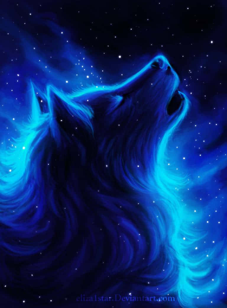 Pretty Wolf, luminous blue wolf, starry cosmic sky, SD Phone Wallpaper