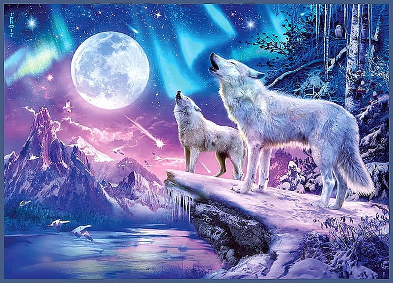 white wolves, snowy cliff, full moon, SD Desktop Wallpaper