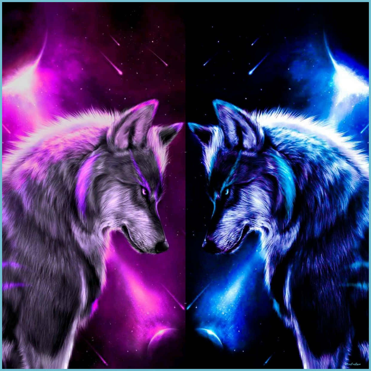 grey wolf, cosmic backdrops, purple and blue nebulae, SD Desktop Wallpaper