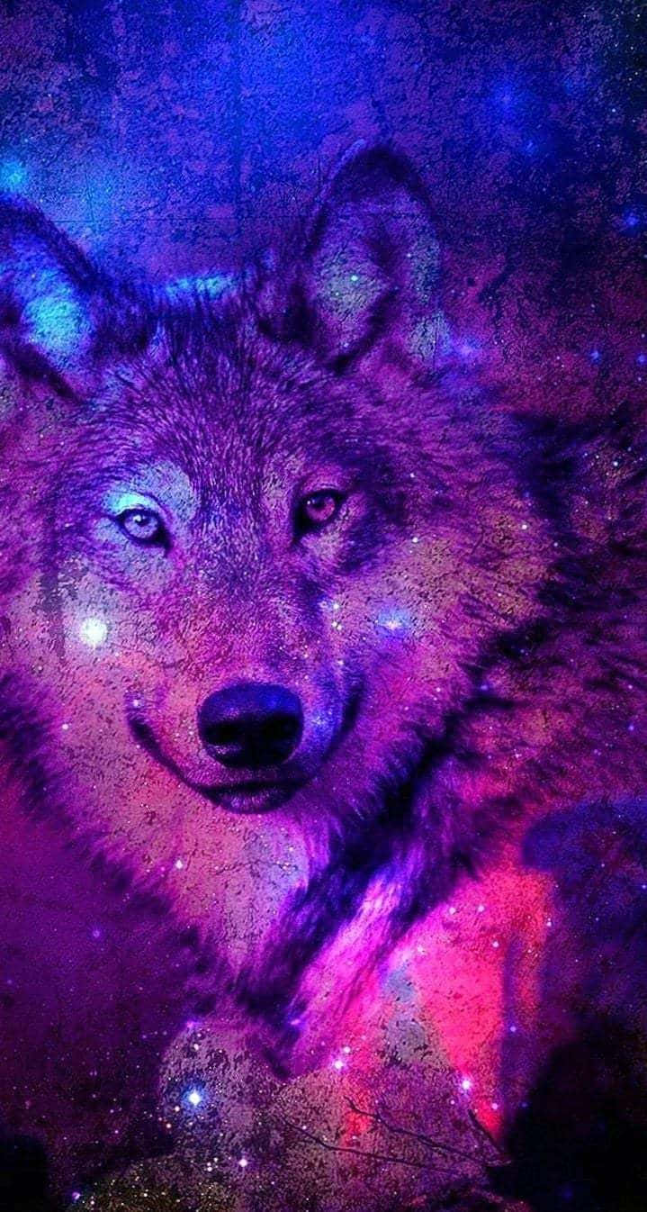 Pretty Wolf, cosmic nebula, electric purples, HD Phone Wallpaper