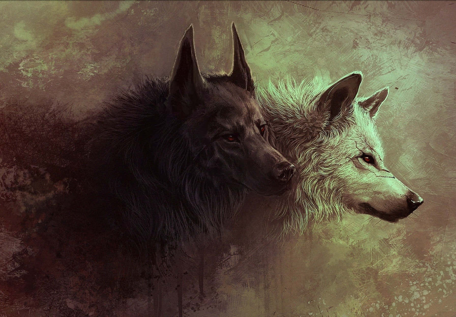 pretty wolf, black wolf, white wolf, HD Desktop Wallpaper