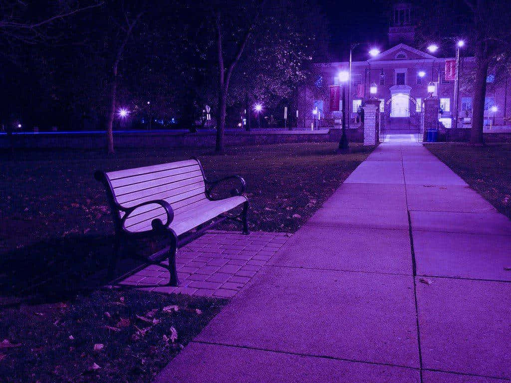 pretty purple, purple-lit sidewalk, glowing streetlights, SD Desktop Wallpaper