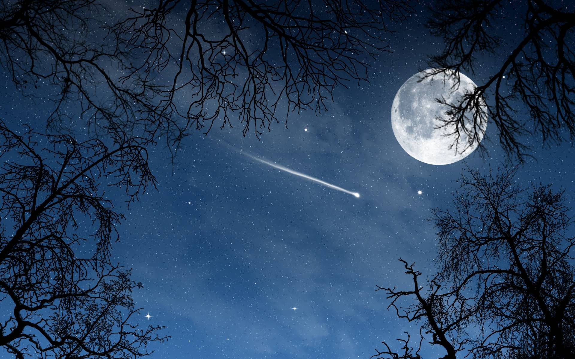 shooting star, starry night sky, bare tree branches, Full HD Desktop Wallpaper