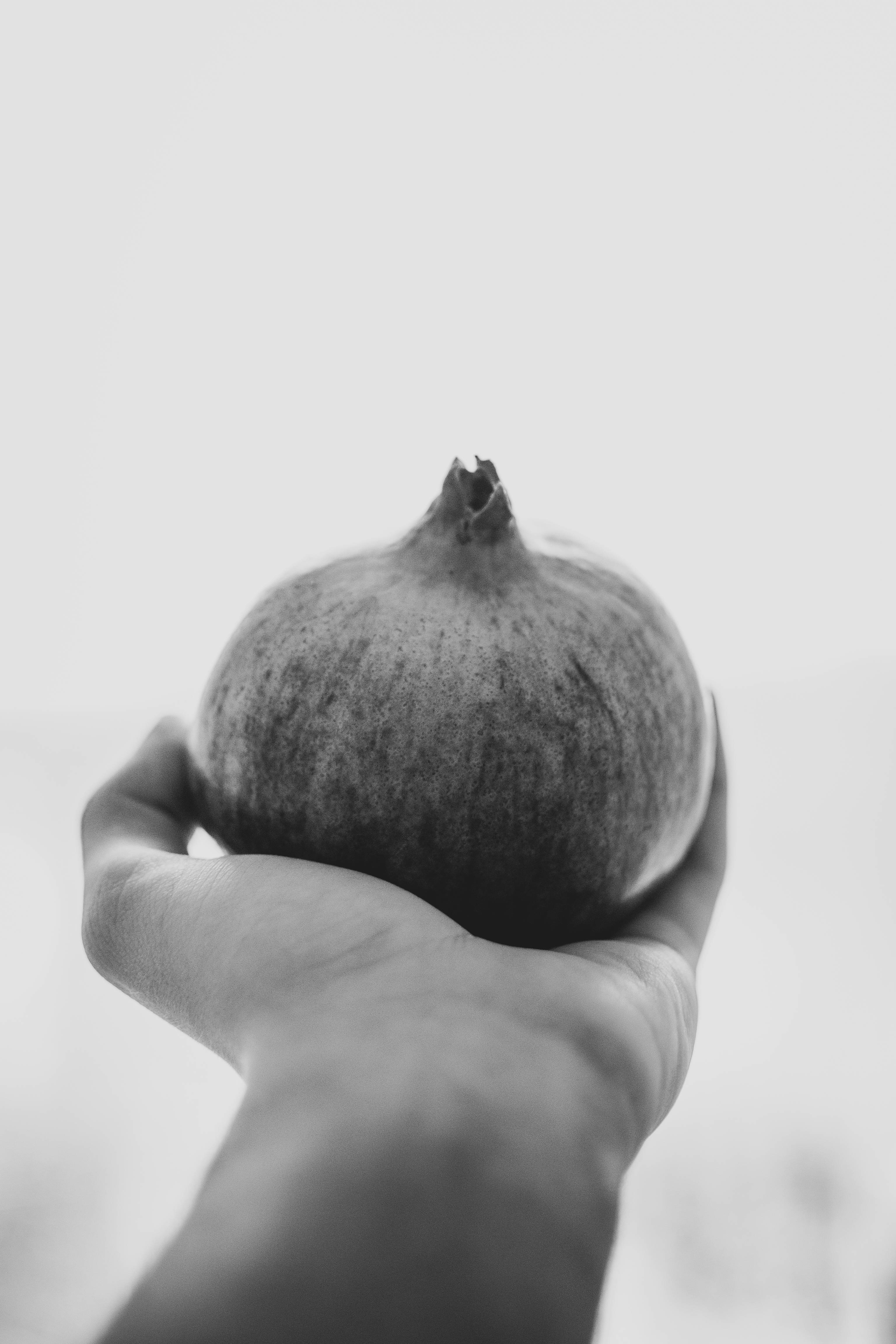 garnet fruit, pomegranate, monochrome tones, 4K Phone Wallpaper