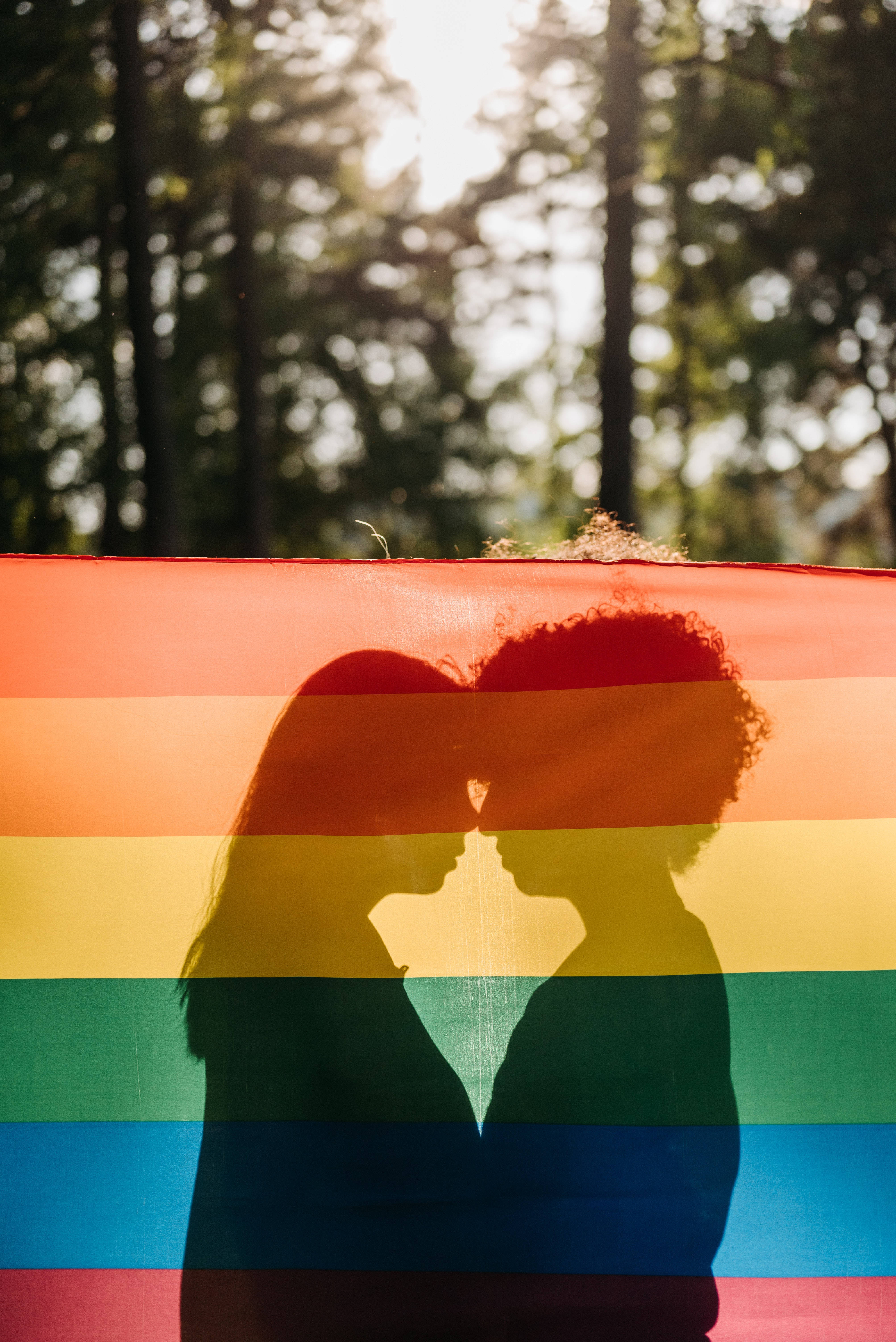 Pride flag, rainbow flag, silhouettes, 5K Phone Wallpaper