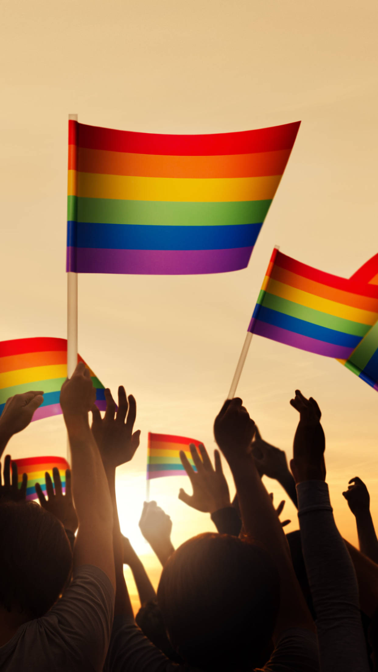 rainbow flags, LGBT, warm golden sunset sky, Full HD Phone Wallpaper
