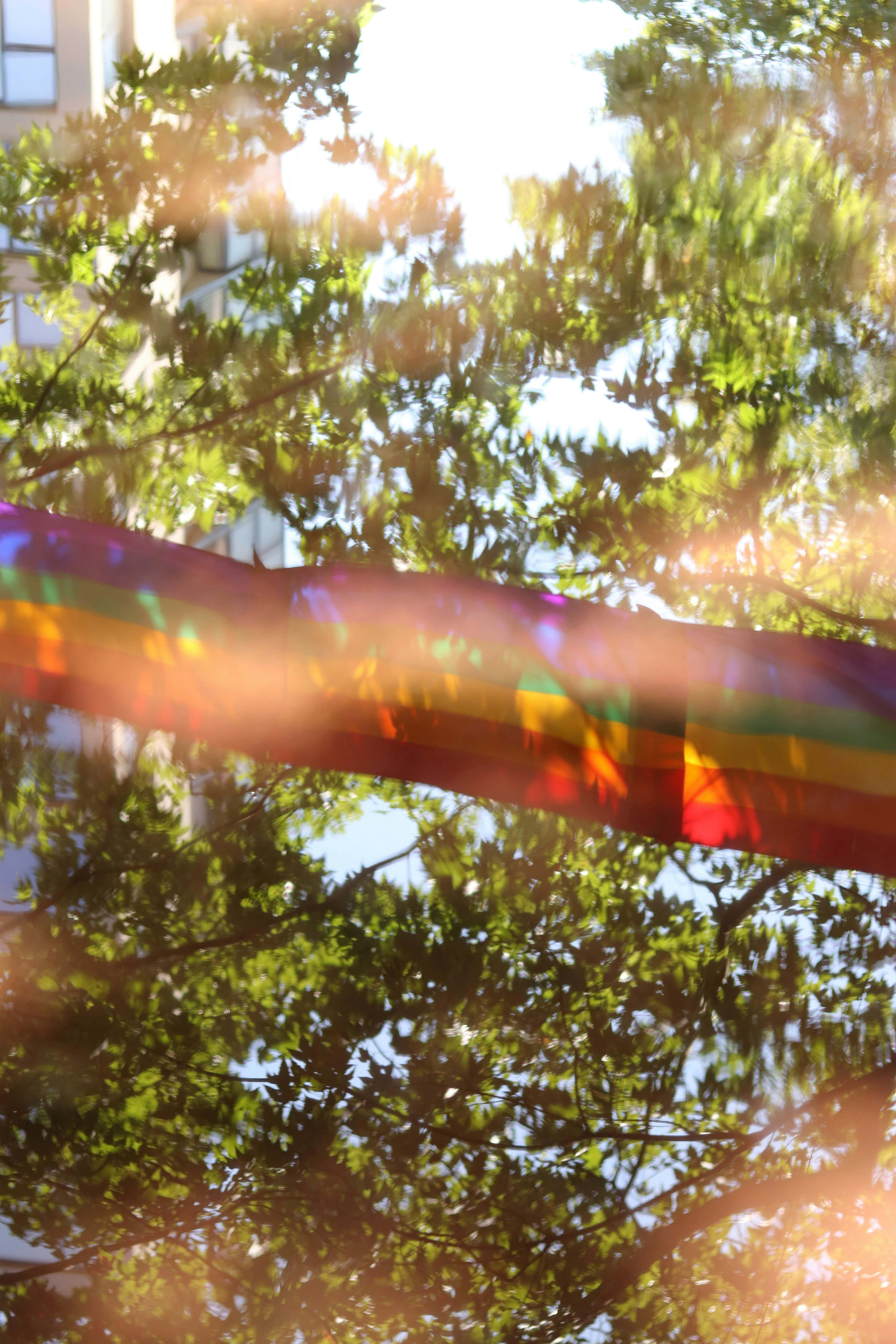 Pride Month, rainbow flag, sunlit, 5K Phone Wallpaper