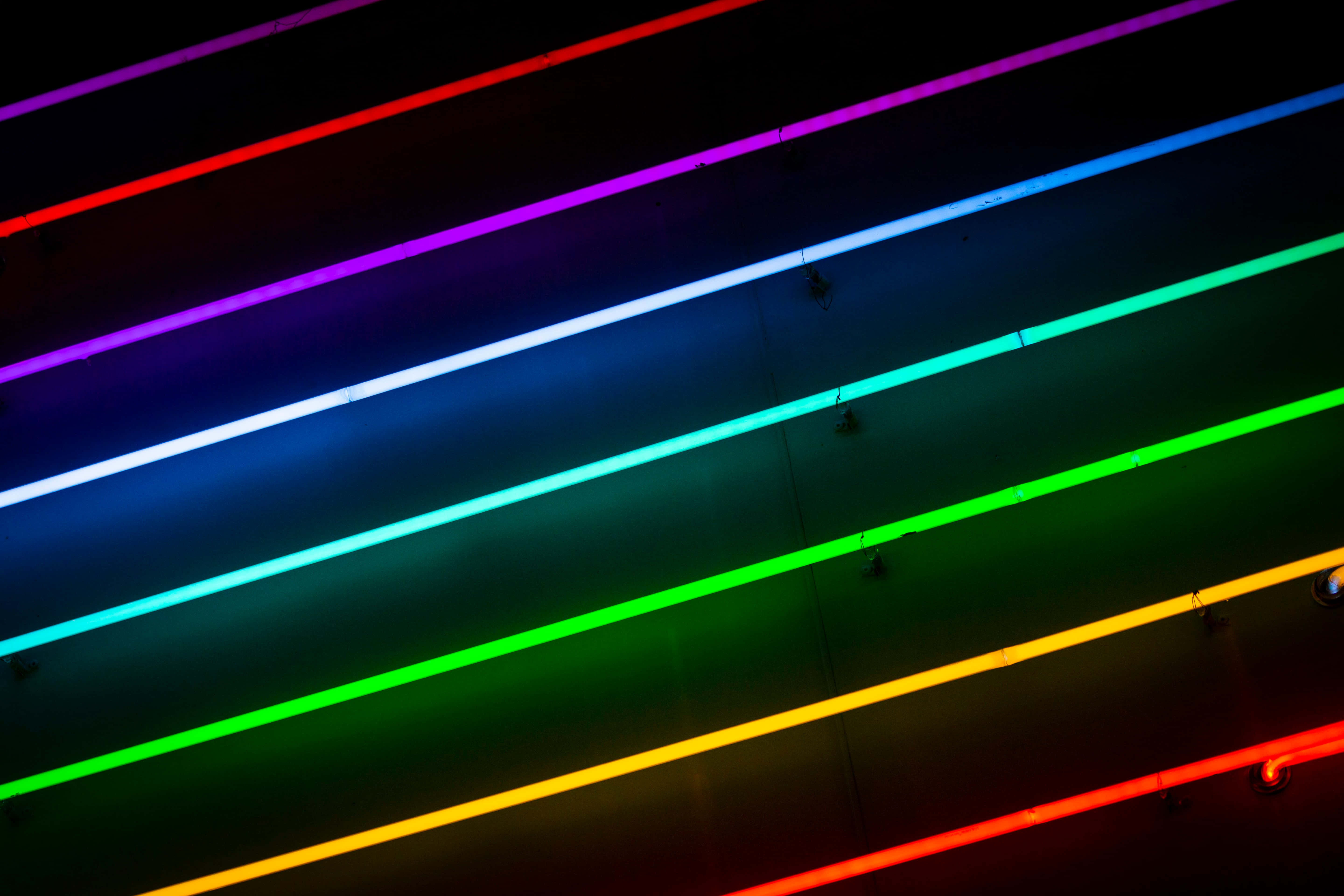 Pride Month, rainbow hues, neon lights, 5K Desktop Wallpaper