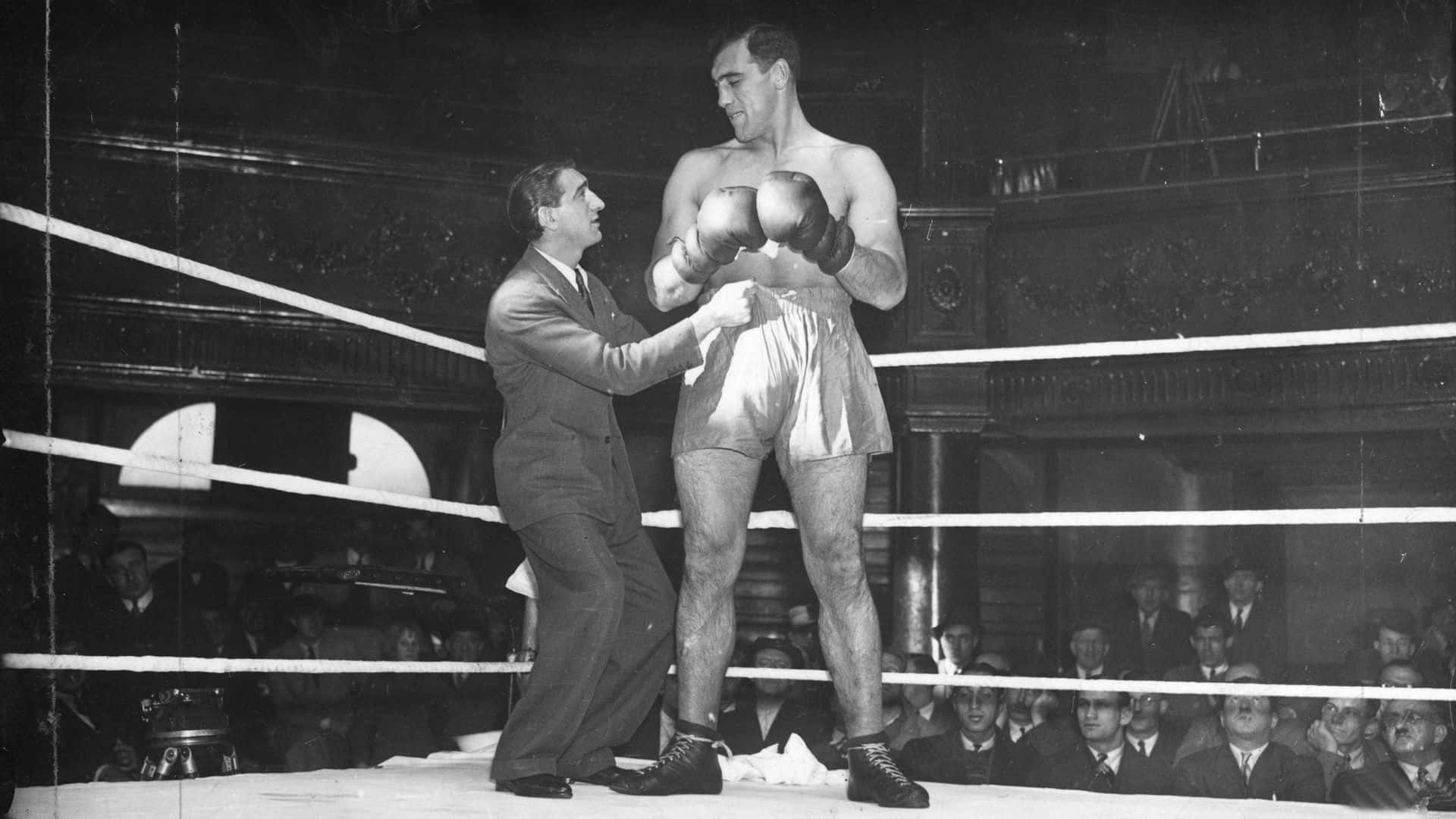 Primo Carnera, ring venue, referee, Full HD Desktop Wallpaper