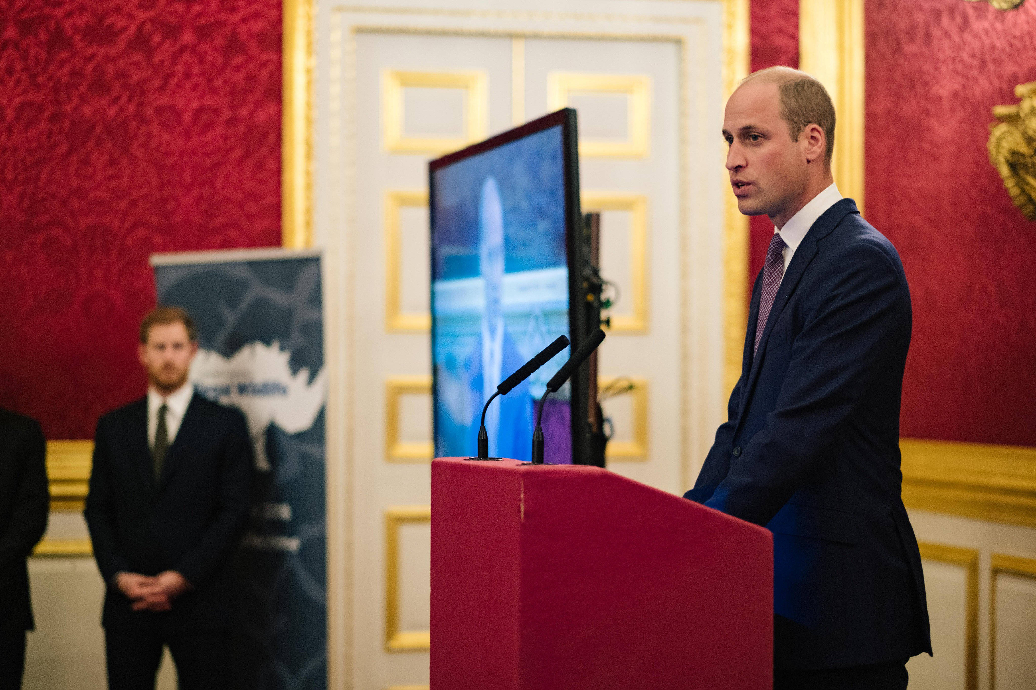 Prince William, podium, red walls, 4K Desktop Wallpaper