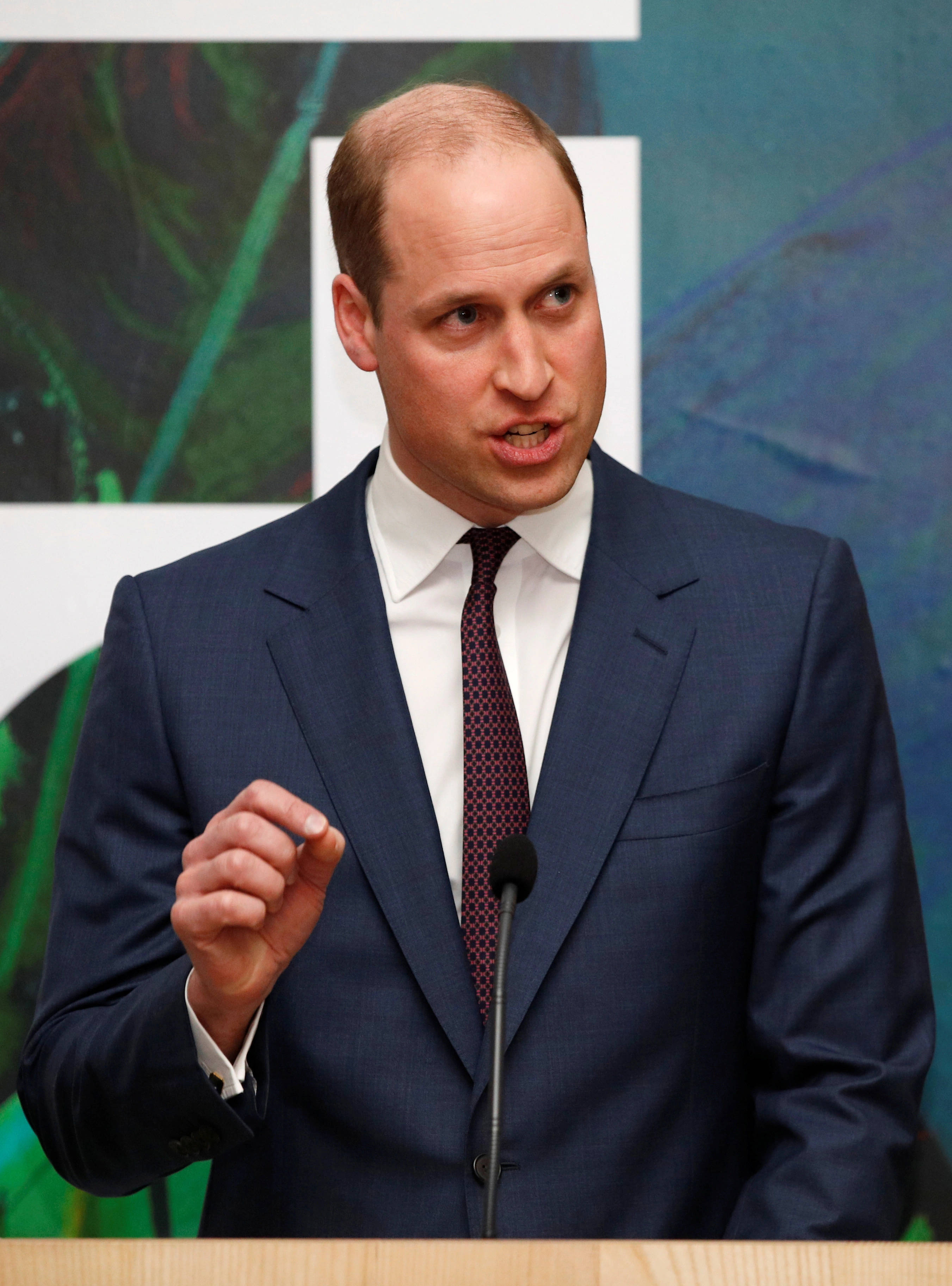 Prince William, navy suit, patterned tie, 2K Phone Wallpaper