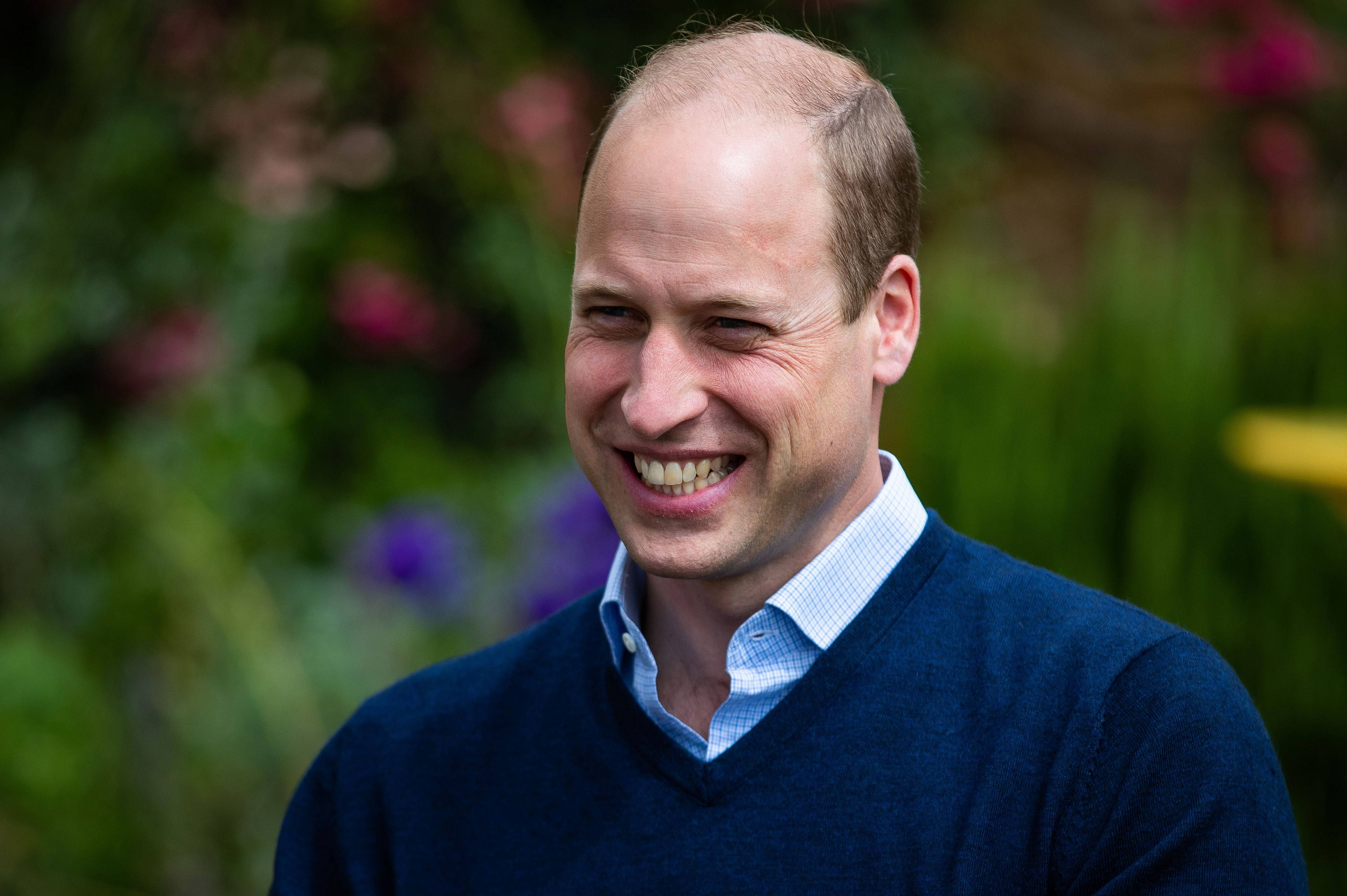 Prince William, blue sweater, soft-focus garden, 4K Desktop Wallpaper