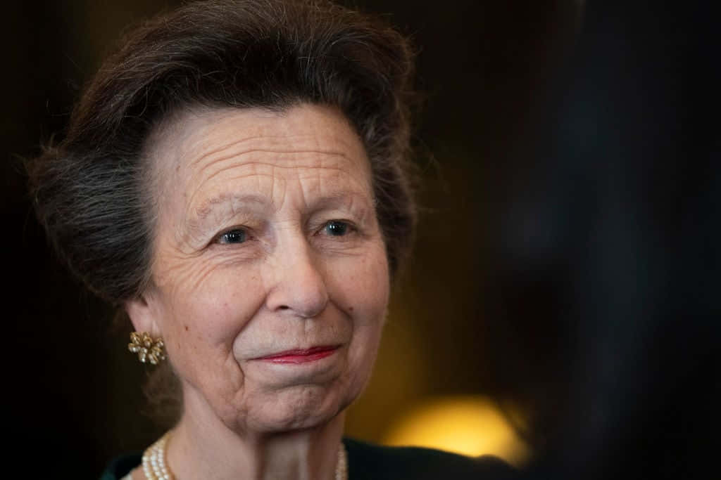 Princess Anne, pearl jewelry, warm background, SD Desktop Wallpaper