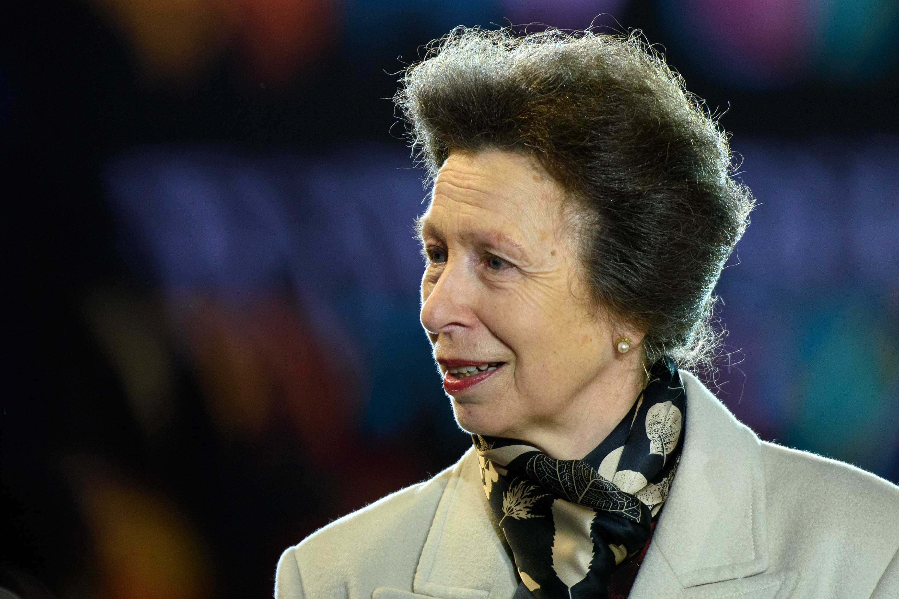 Princess Anne, beige jacket, scarf, 2K Desktop Wallpaper