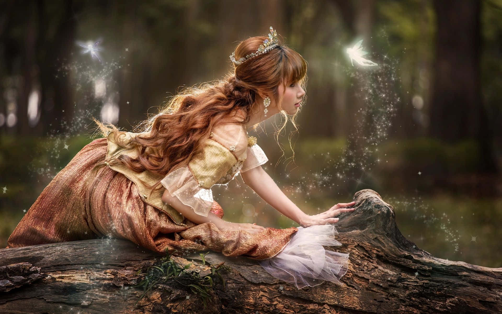 Princess Crown, golden gown, mossy log, Full HD Desktop Wallpaper