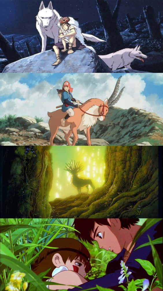 Princess Mononoke, Studio Ghibli, white wolf, SD Phone Wallpaper