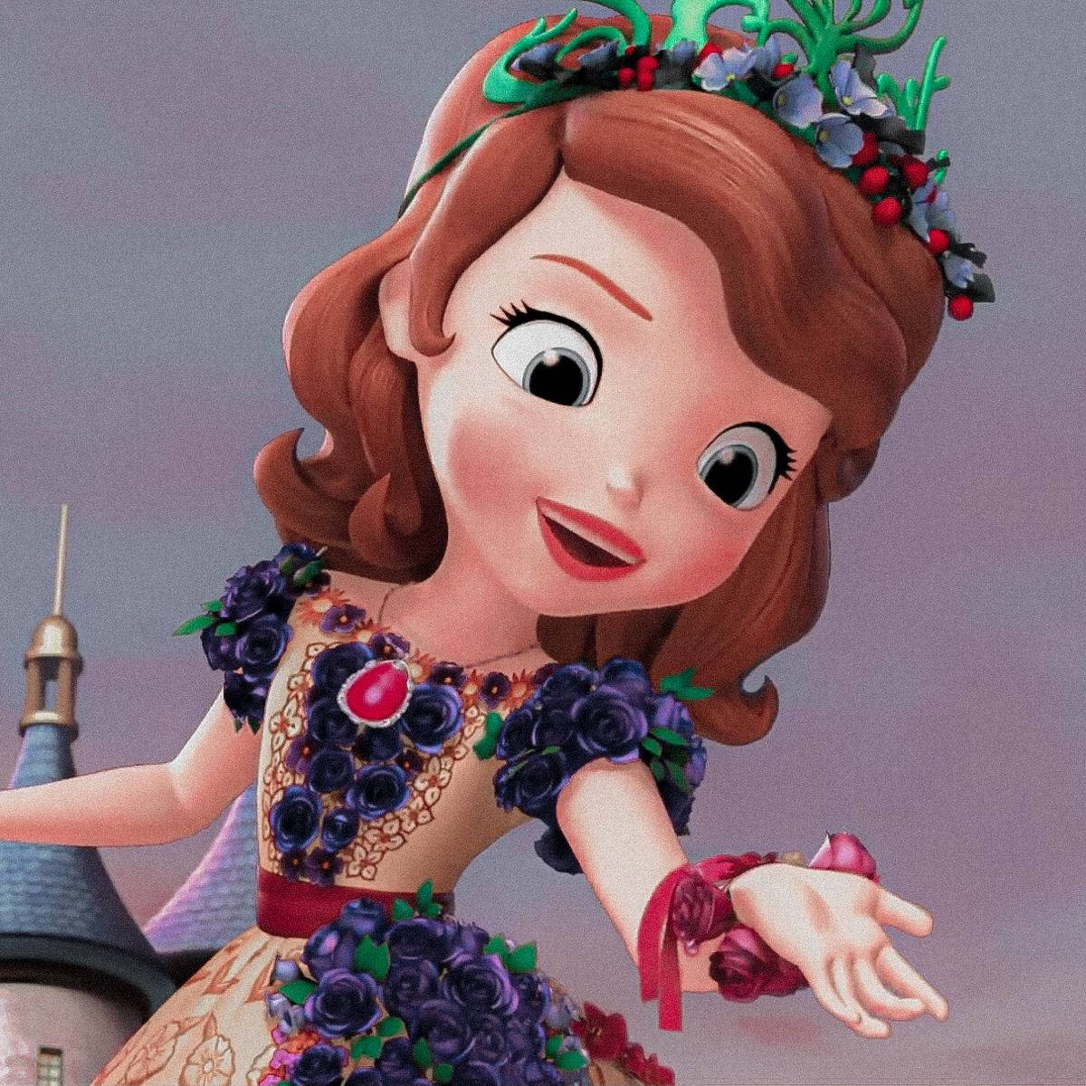 Princess Sofia, fairy dress, purple rose dress, SD Desktop Wallpaper