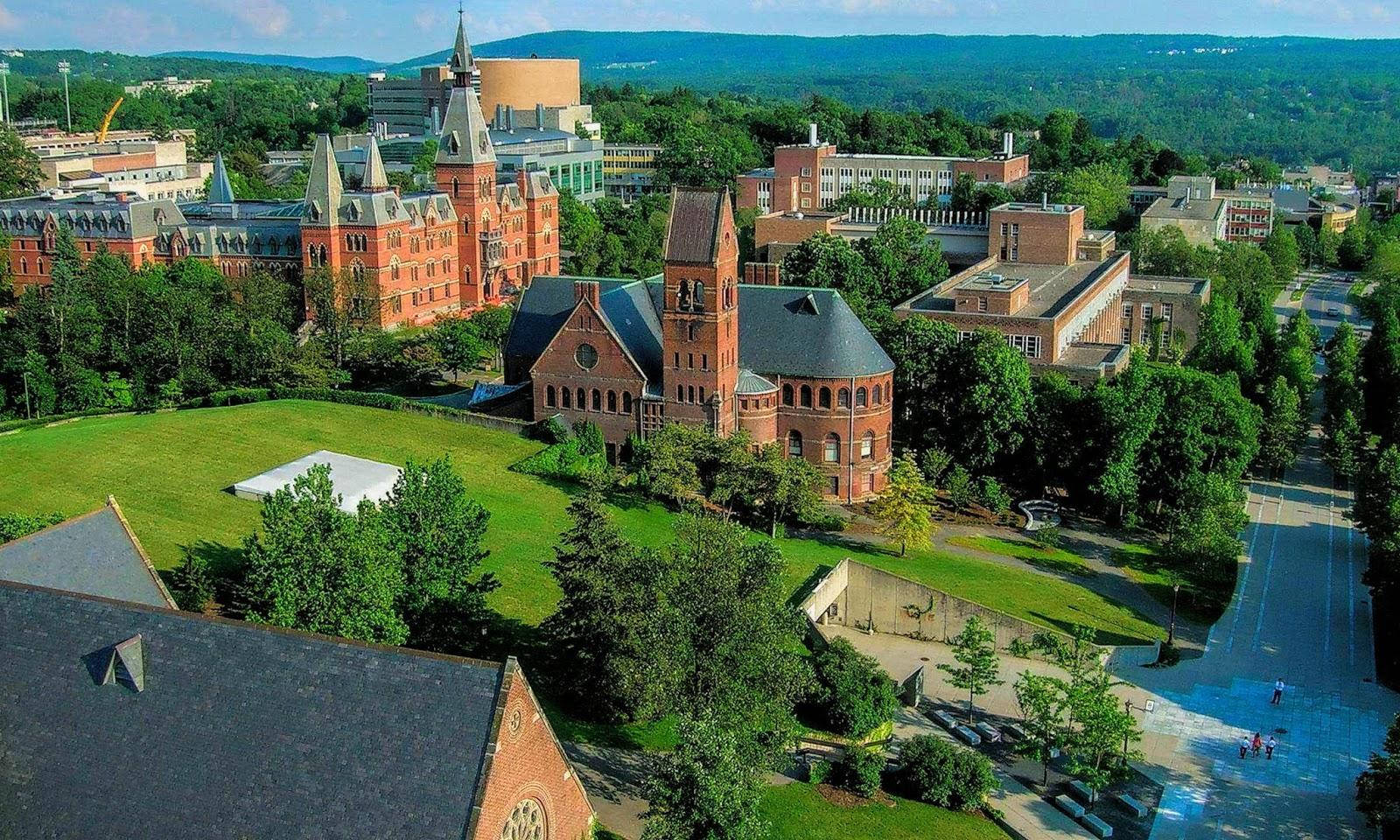 Princeton University, red brick Gothic buildings, green lawns, HD Desktop Wallpaper