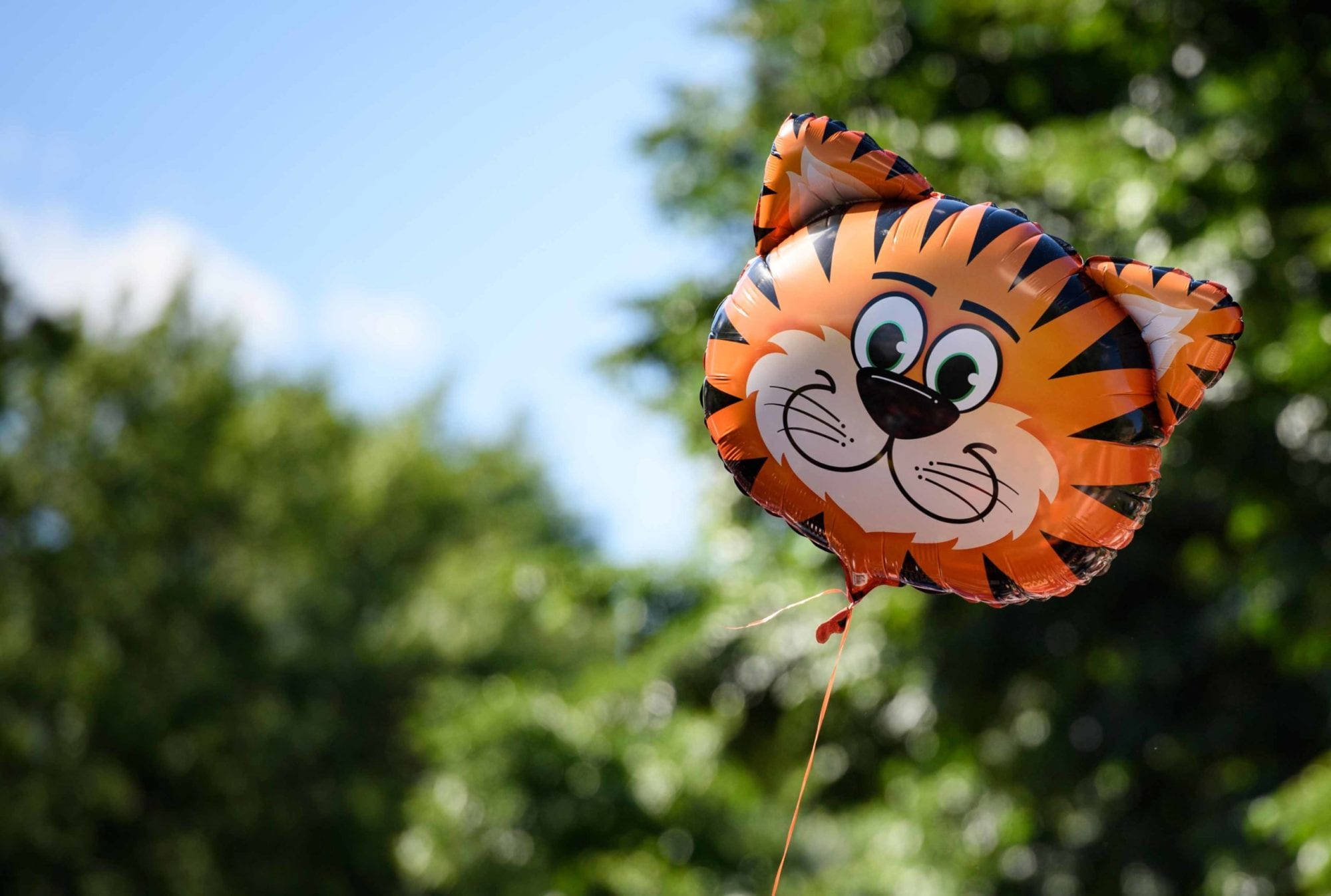 Princeton University, tiger head balloon, green trees, Full HD Desktop Wallpaper
