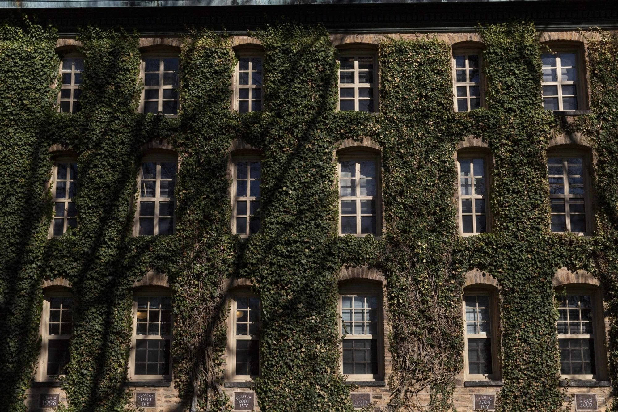 Princeton University, vine wall, historic stone building facade, Full HD Desktop Wallpaper