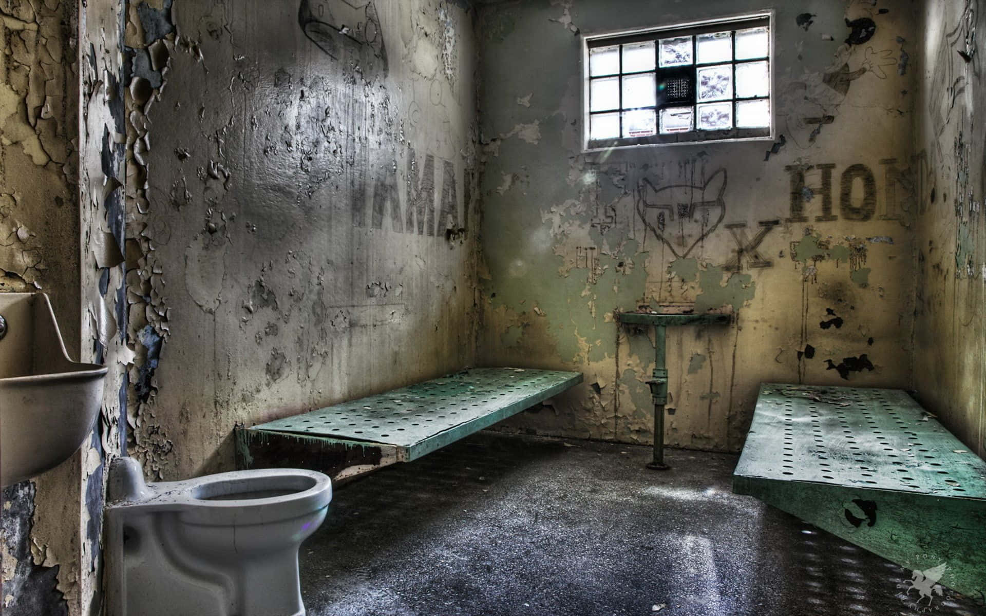 dilapidated prison interior, peeling walls, graffiti, Full HD Desktop Wallpaper