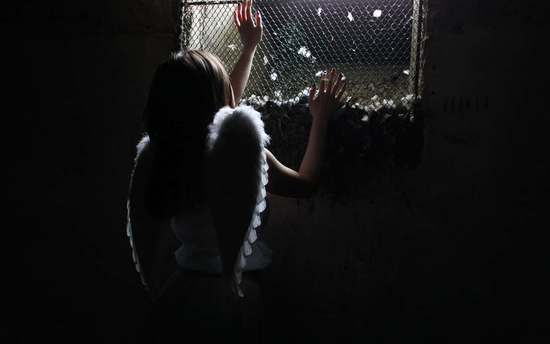 angel wings, chain-link window, dark room, Full HD Desktop Wallpaper