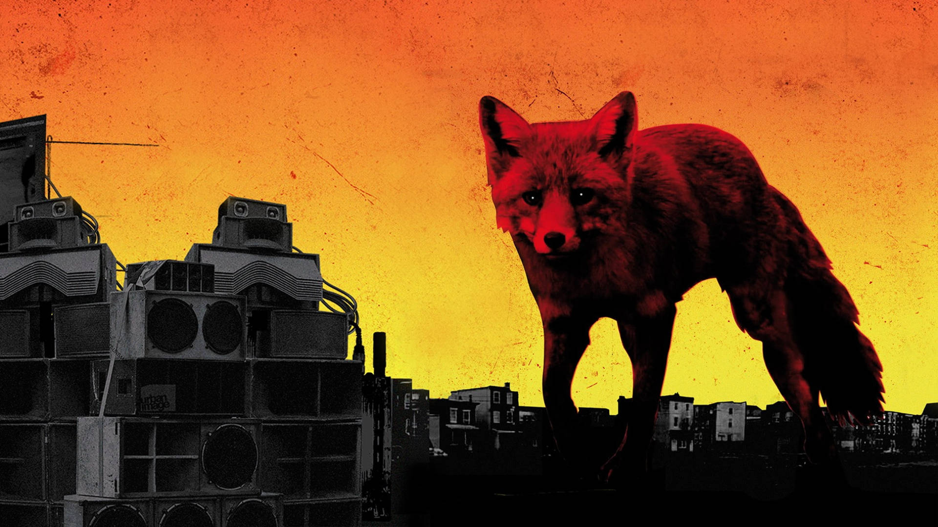 Prodigy, fox, rooftop, Full HD Desktop Wallpaper