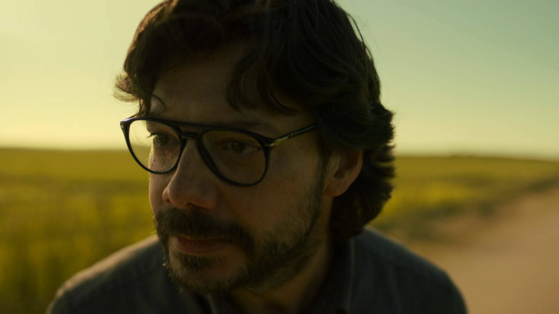Professor, golden field, sunset, Full HD Desktop Wallpaper