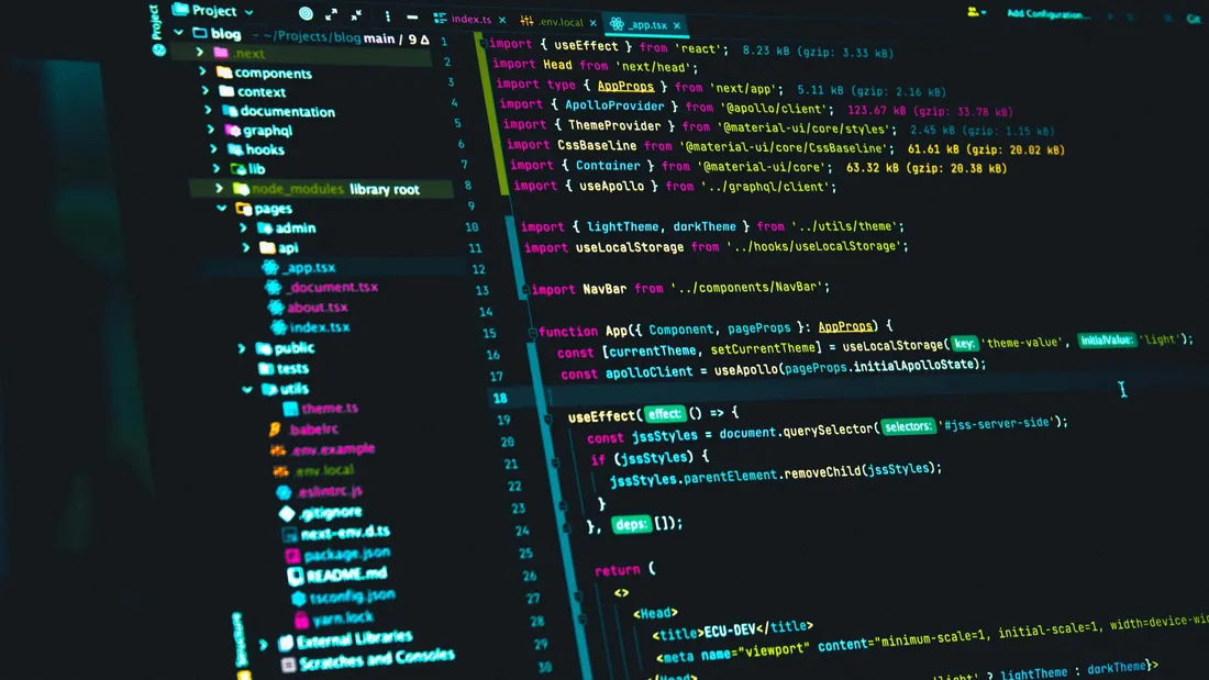 Programmer